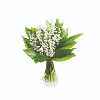 Tove Kristiansen Eliassen